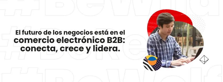 What Is B2B eCommerce?
